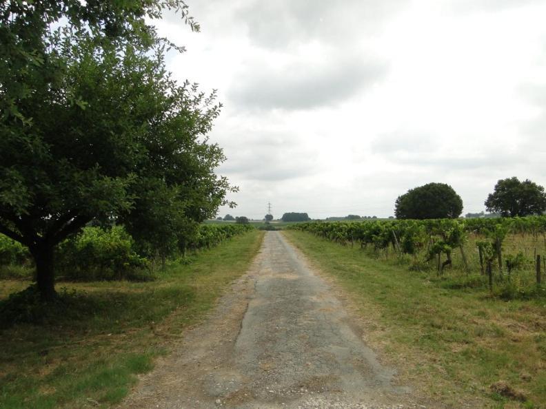 Chateau Monichot Organic Vineyard Tauriac  Dış mekan fotoğraf