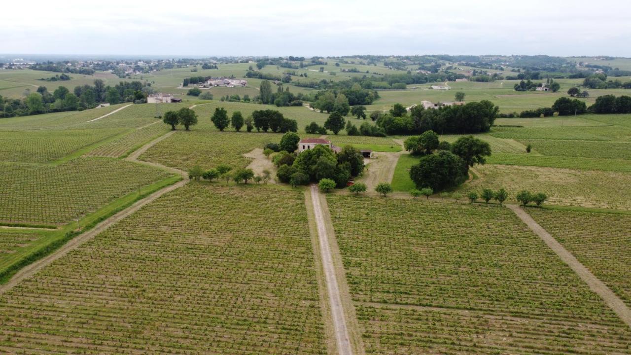 Chateau Monichot Organic Vineyard Tauriac  Dış mekan fotoğraf